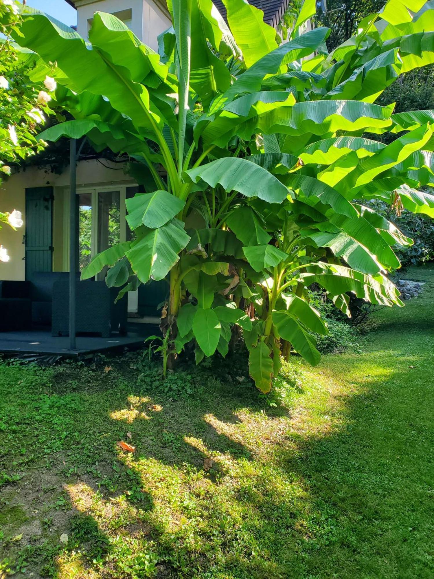 Belle Maison Sud Seine-Et-Marne Rubelles Esterno foto