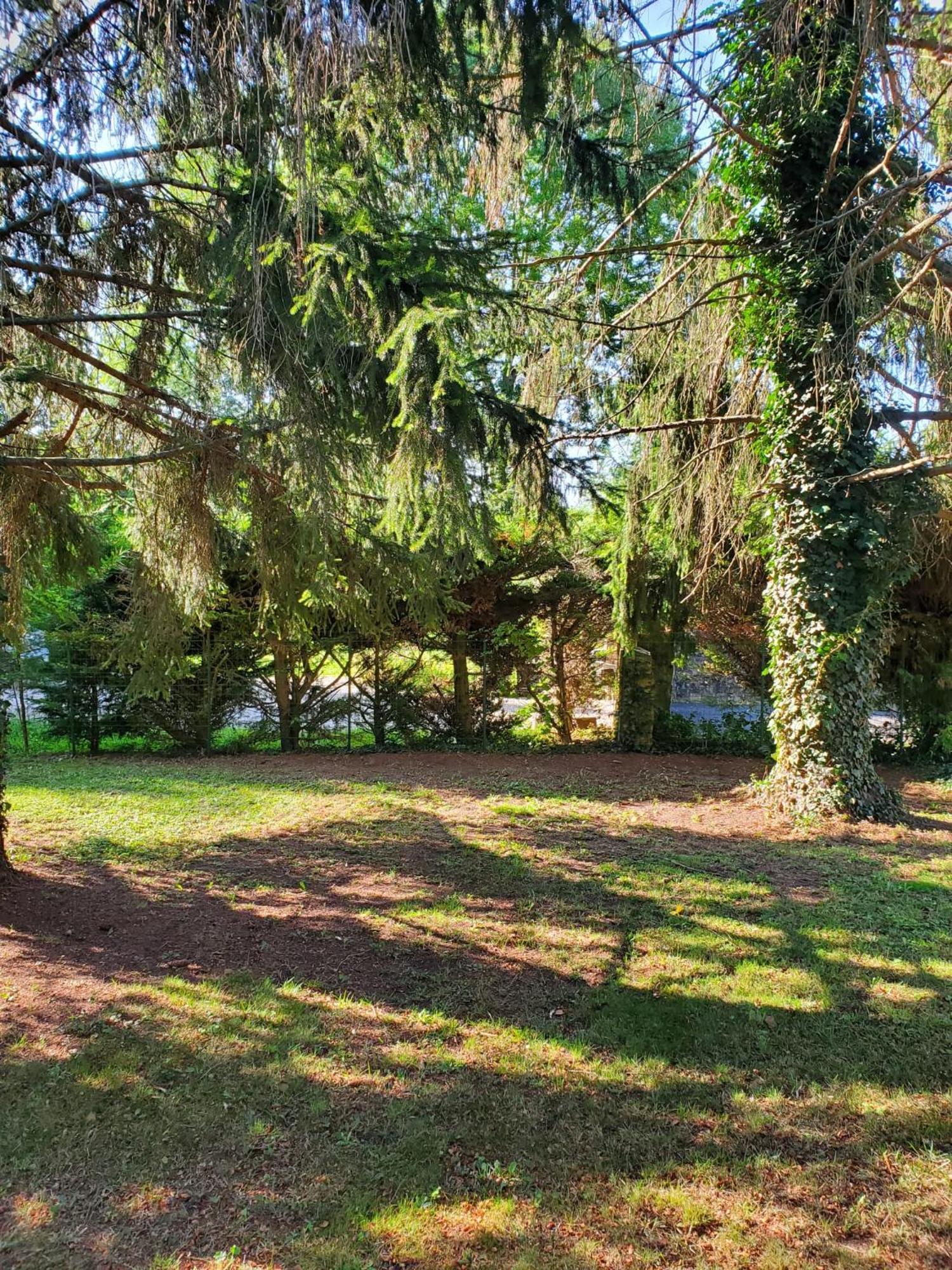 Belle Maison Sud Seine-Et-Marne Rubelles Esterno foto